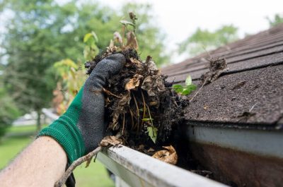 Gutter Cleaning Gutter Cleaning